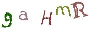 CAPTCHA cu imagine
