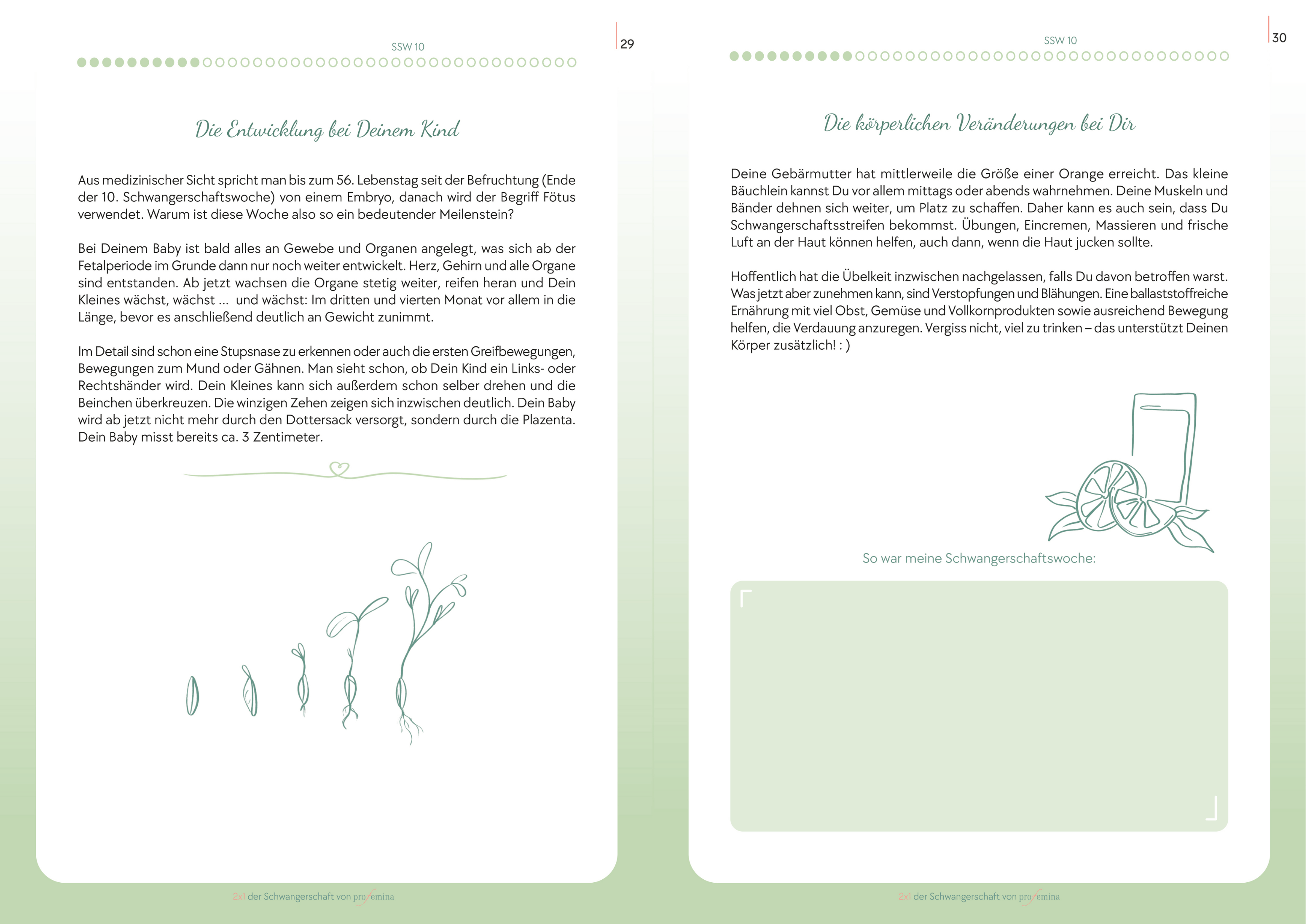 E-Book=