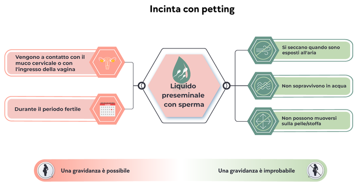 Incinta con petting