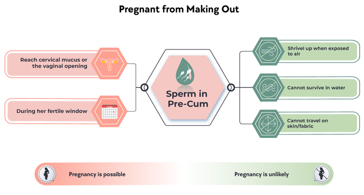 Early Signs of Pregnancy Quiz