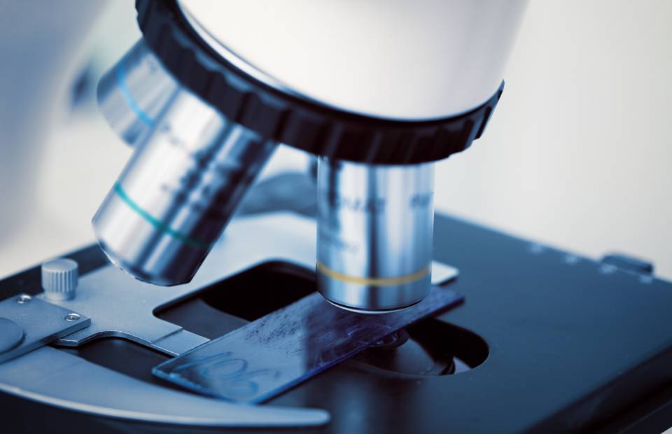 Erst Trimester Screening Pro Femina E V