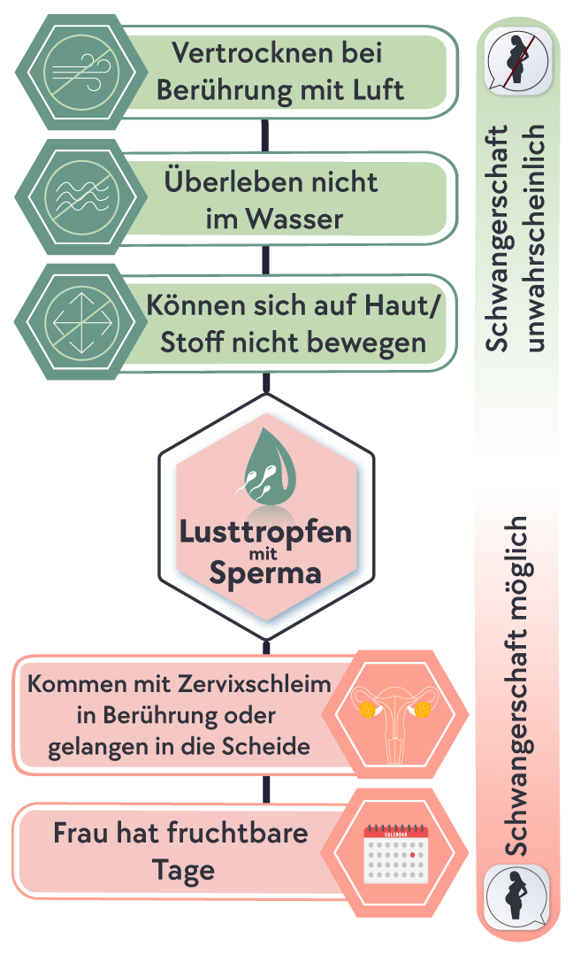 Sind im Lusttropfen immer Spermien?
