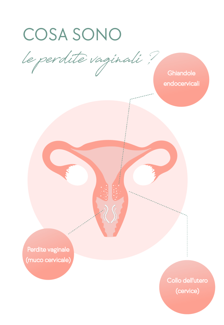 Cosa sono le perdite vaginali?