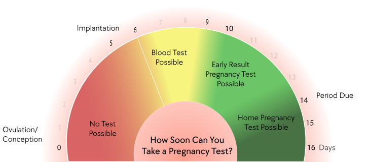 Kada galima atlikti nėštumo testą?