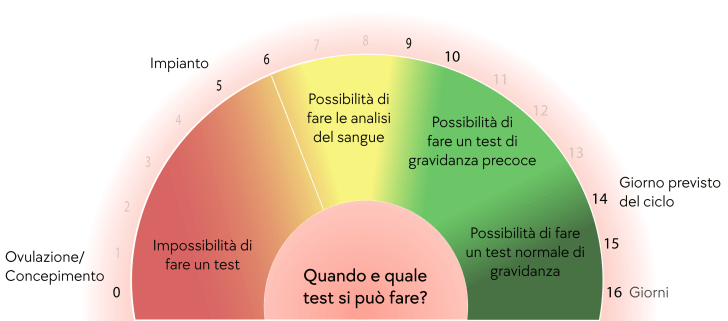 Quando posso fare un test di gravidanza?