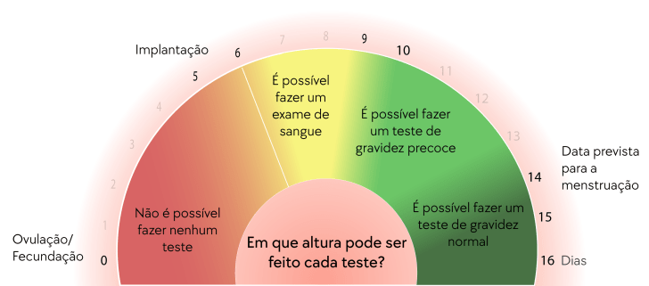 Quando posso fazer um teste de gravidez?