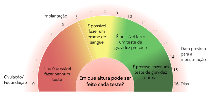 teste-de-gravidez-quando