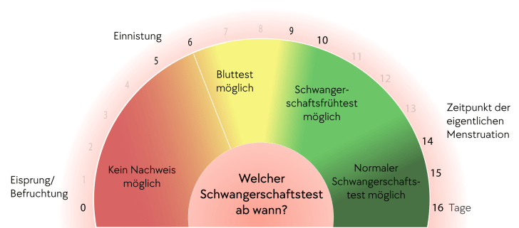 Welcher Schwangerschaftstest ab wann?